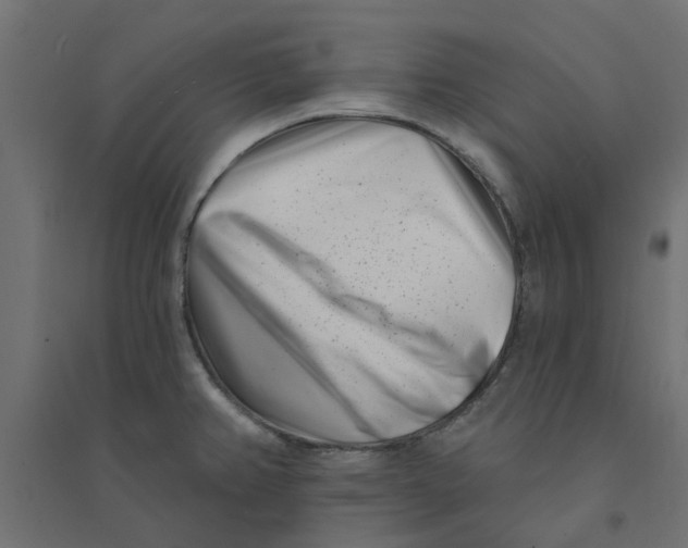 X0000094331382200711241820