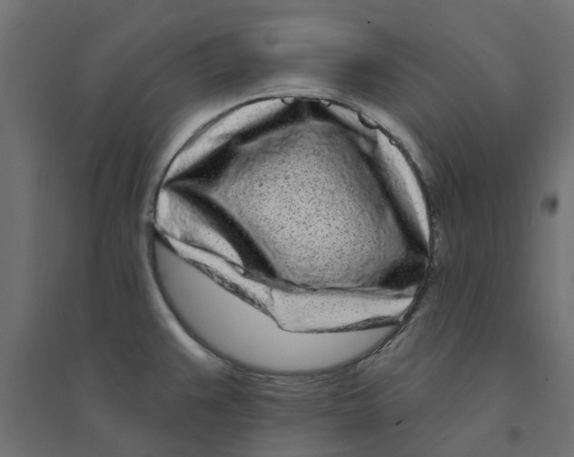 X0000094331383200711241820