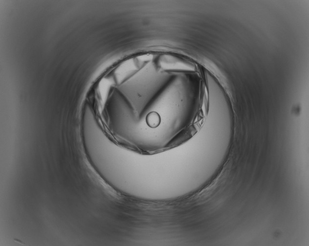 X0000094331384200711241819
