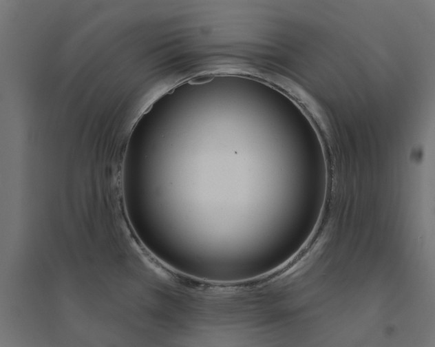 X0000094331385200711241819