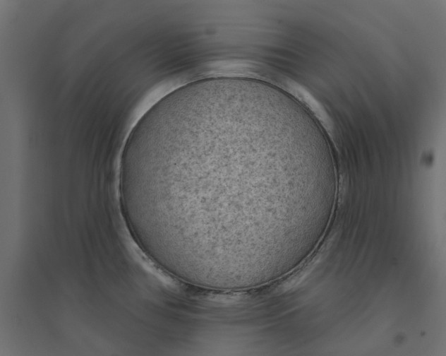 X0000094331386200711241819