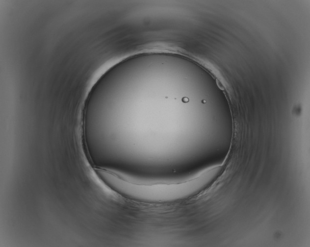 X0000094331387200711241819