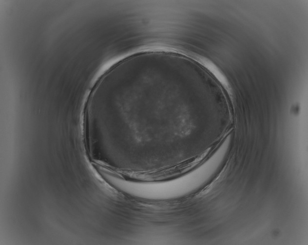 X0000094331388200711241819
