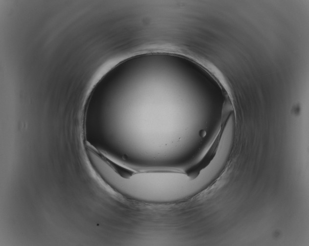 X0000094331389200711241819