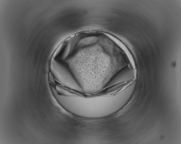 X0000094331390200711241819