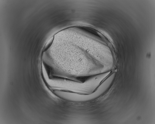 X0000094331391200711241819