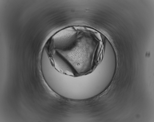 X0000094331392200711241819