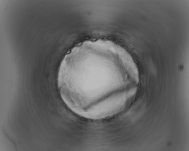 X0000094331393200711241819
