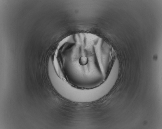 X0000094331394200711241819