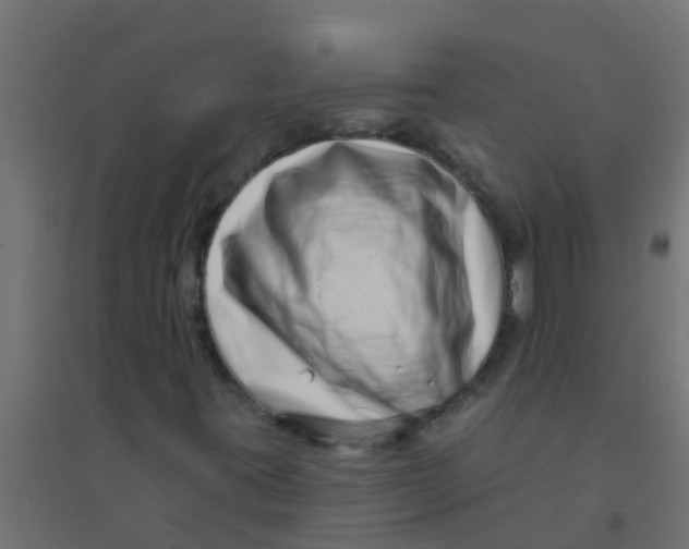 X0000094331395200711241819