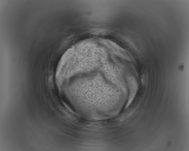 X0000094331396200711241819