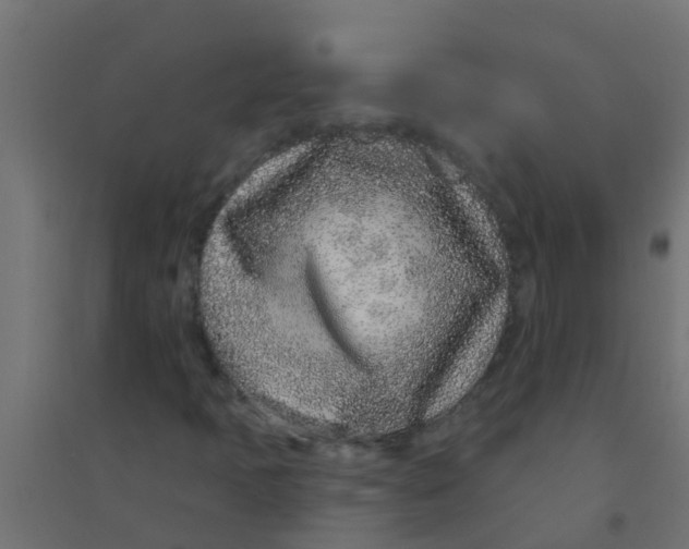 X0000094331397200711241819