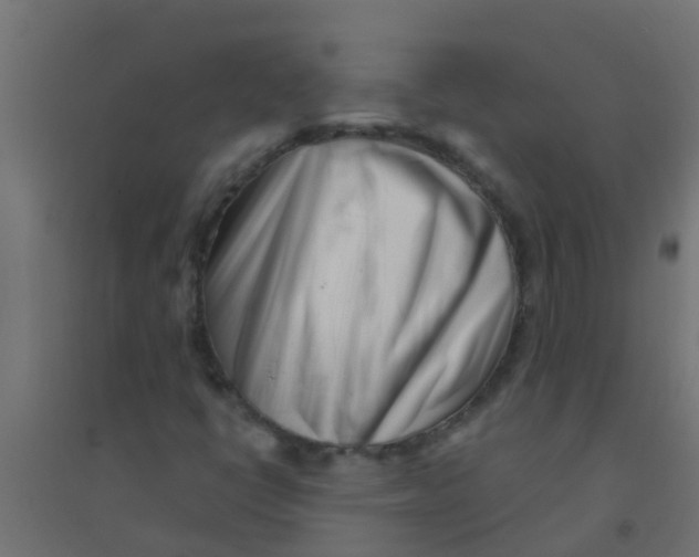 X0000094331398200711241819