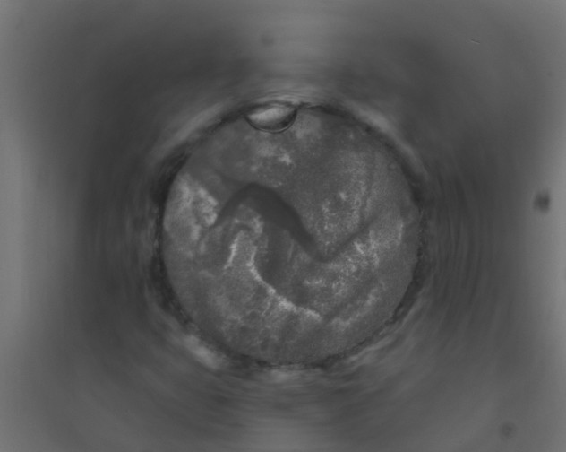 X0000094331399200711241819