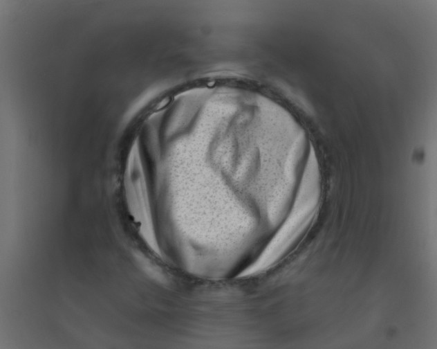 X0000094331400200711241819