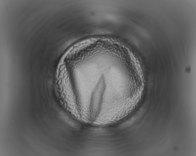 X0000094331401200711241819