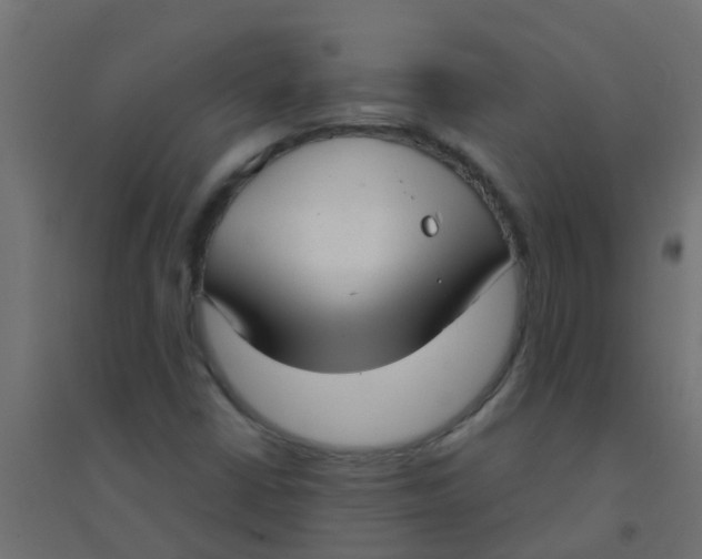 X0000094331402200711241819