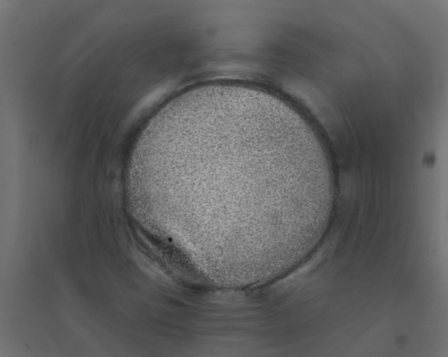 X0000094331403200711241819