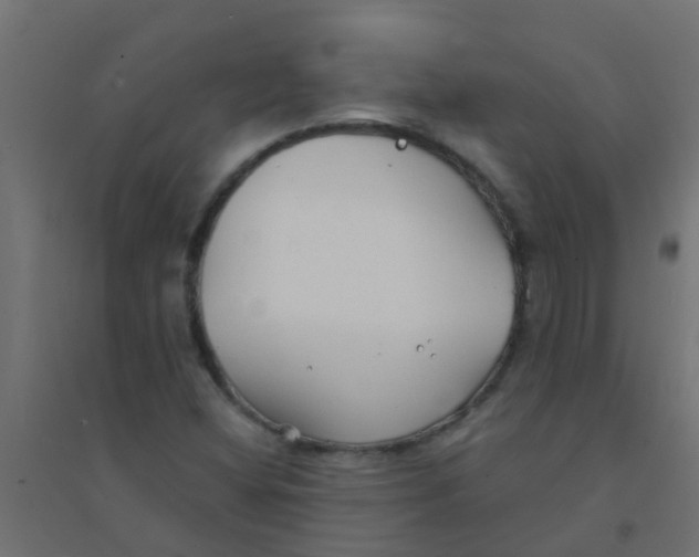 X0000094331404200711241819