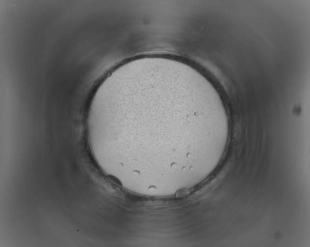 X0000094331407200711241819