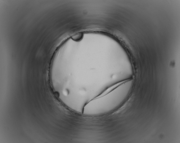 X0000094331409200711241819