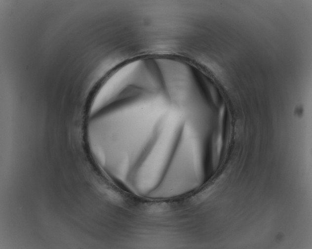X0000094331410200711241819