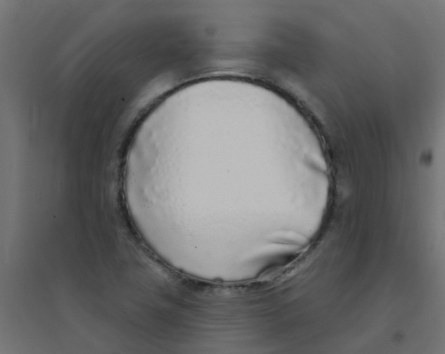 X0000094331411200711241819