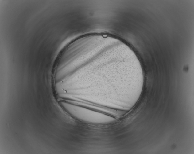 X0000094331412200711241819
