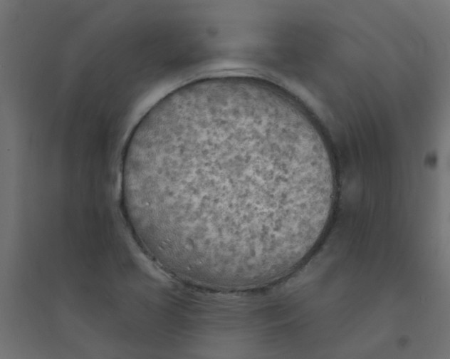X0000094331413200711241819