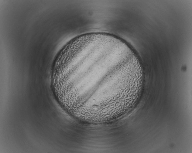 X0000094331415200711241819