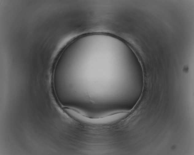 X0000094331416200711241819