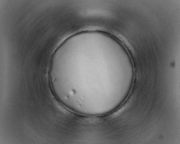 X0000094331417200711241819