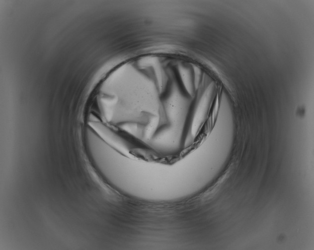 X0000094331418200711241819