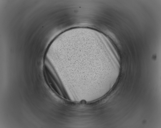 X0000094331420200711241819