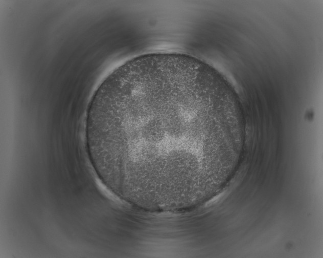 X0000094331421200711241819