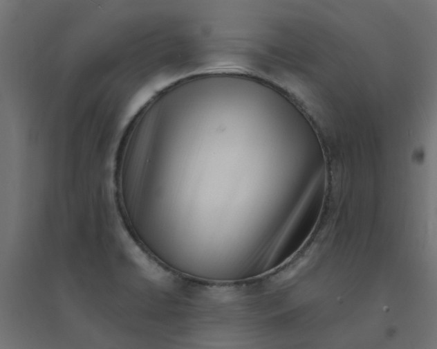 X0000094331422200711241819