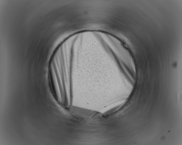 X0000094331424200711241819