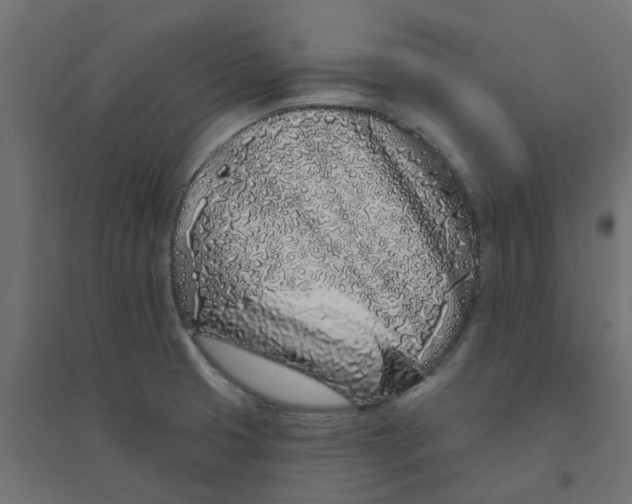X0000094331425200711241819