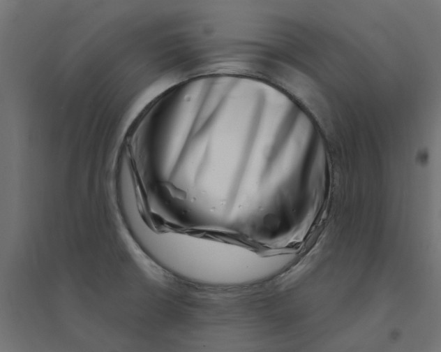 X0000094331426200711241819