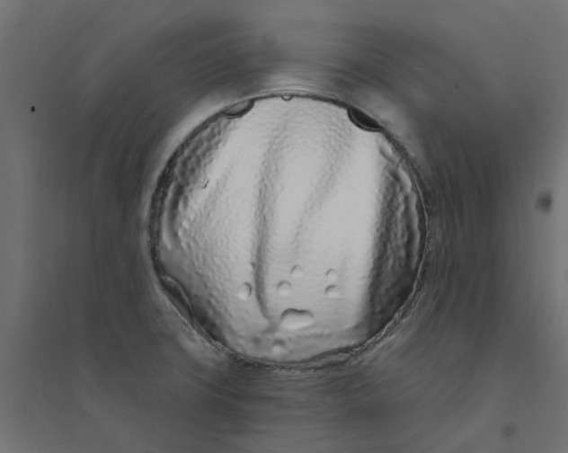 X0000094331427200711241819