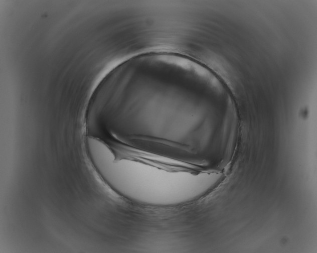 X0000094331428200711241819