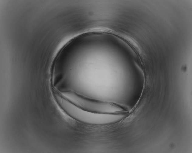 X0000094331430200711241819