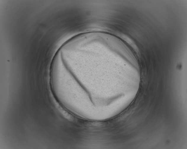 X0000094331431200711241819