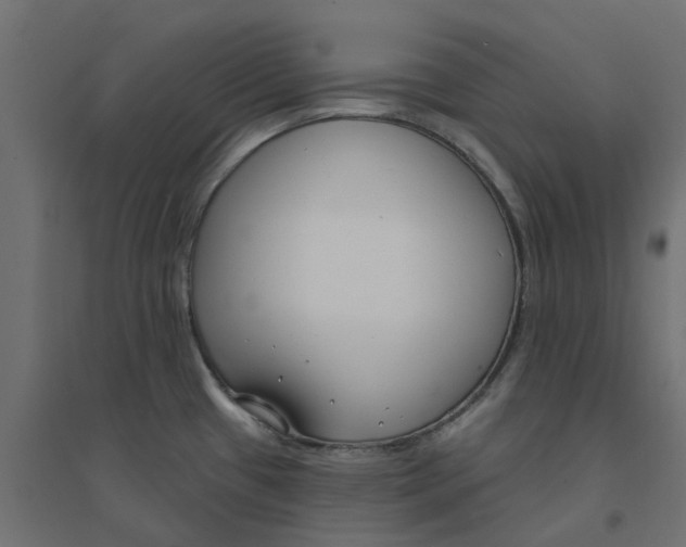 X0000094331433200711241819