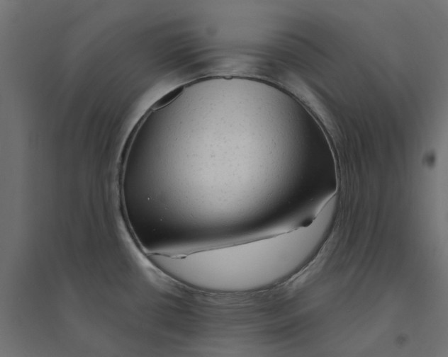 X0000094331434200711241819