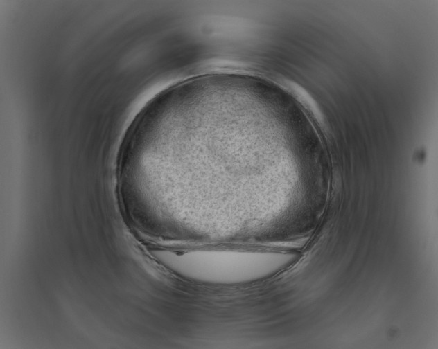 X0000094331435200711241819