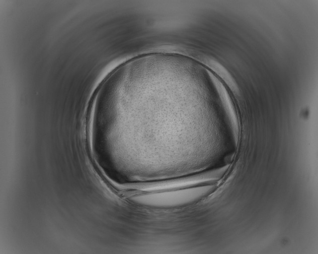 X0000094331436200711241819