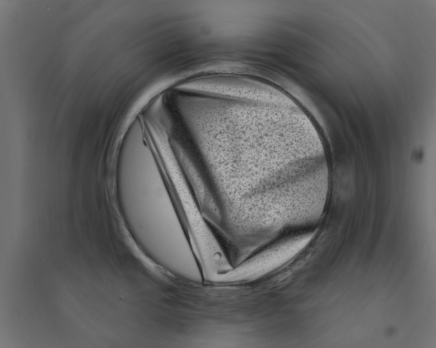 X0000094331437200711241819