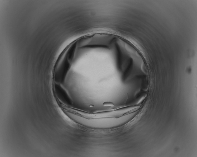 X0000094331438200711241819