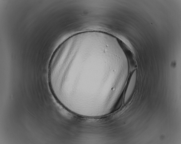 X0000094331439200711241819